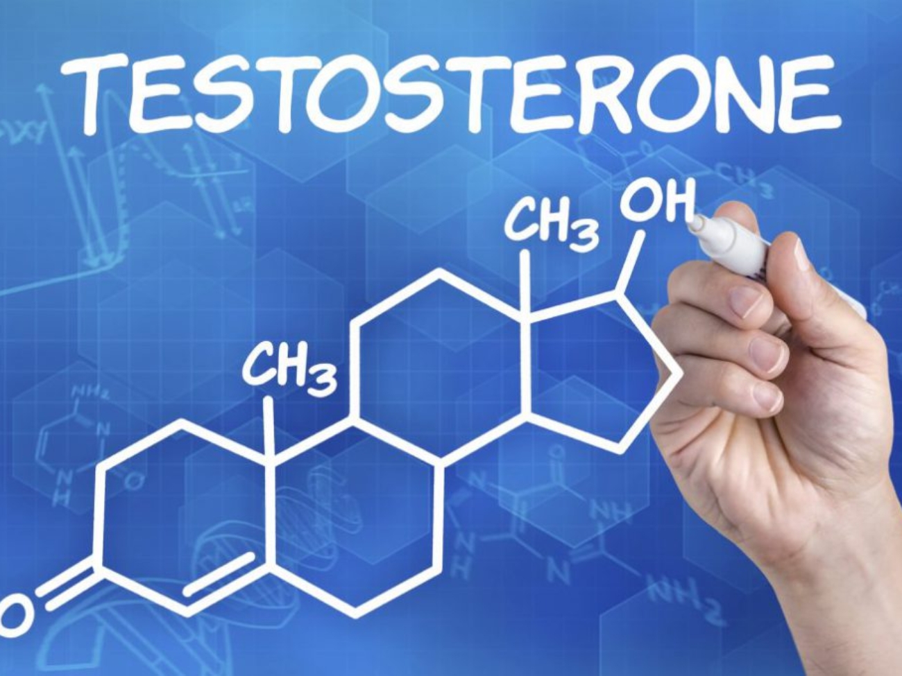 تستوسترون چیست و عملکرد آن کدام است؟